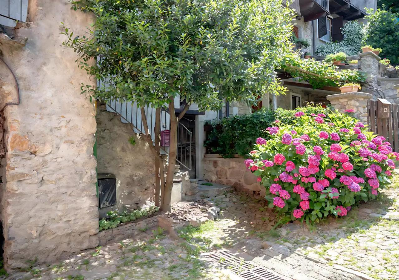 בלאנו Casa Del Borgo: Appartamento Immerso Nel Verde A/C מראה חיצוני תמונה
